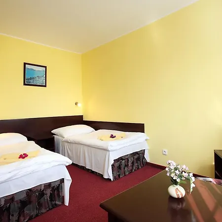 Hotel Milan Vopicka 3*