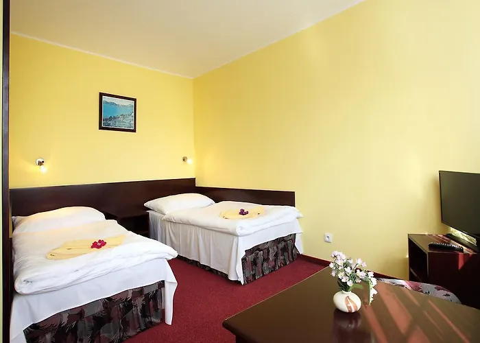 Otel Milan Vopicka 3*