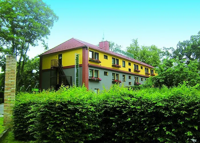 Milan Vopicka